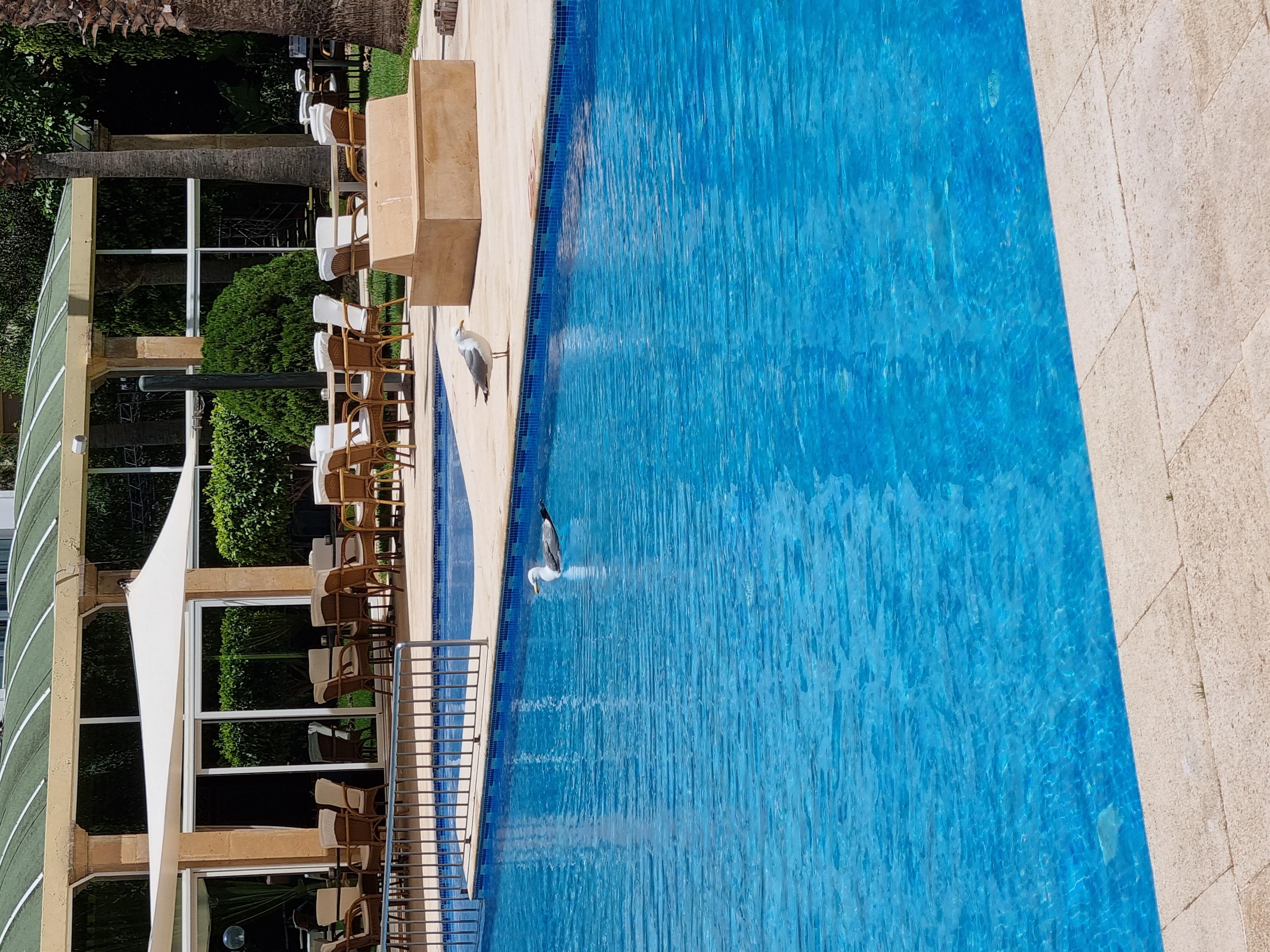 El Oumnia Puerto & Spa 丹吉尔 外观 照片